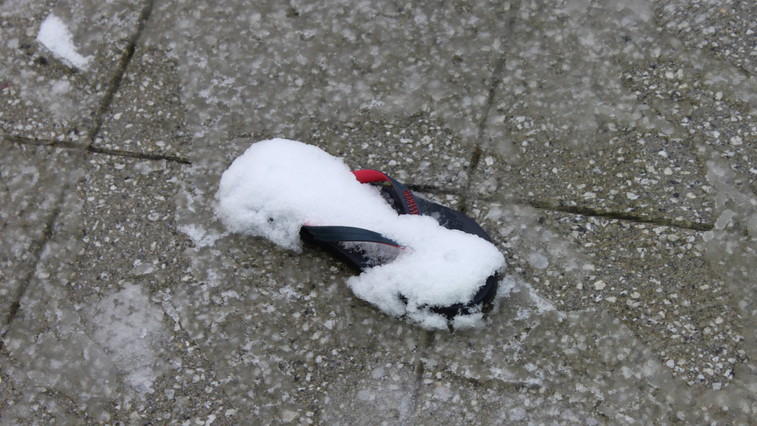 A flip flop found on the street covered in snow